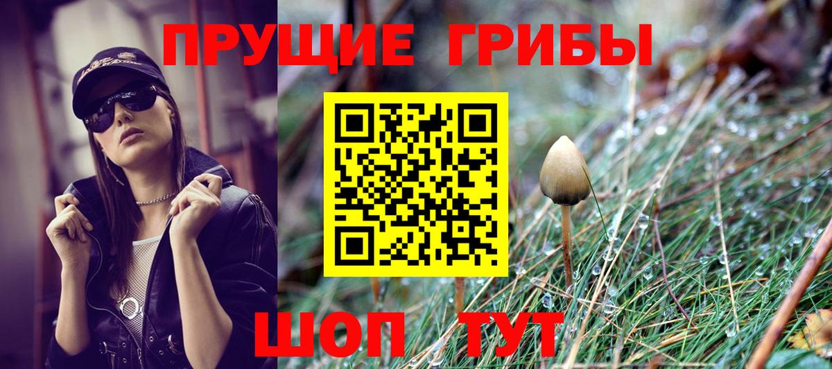 Галлюциногенные грибы мицелий Зима