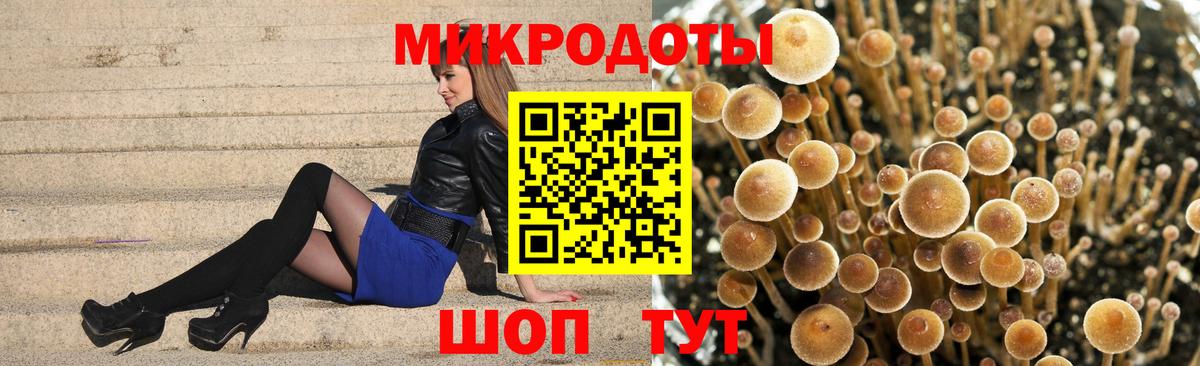 Псилоцибиновые грибы Cubensis  Вход с VPN  Галлюциногенные грибы Magic Shrooms  Зима 